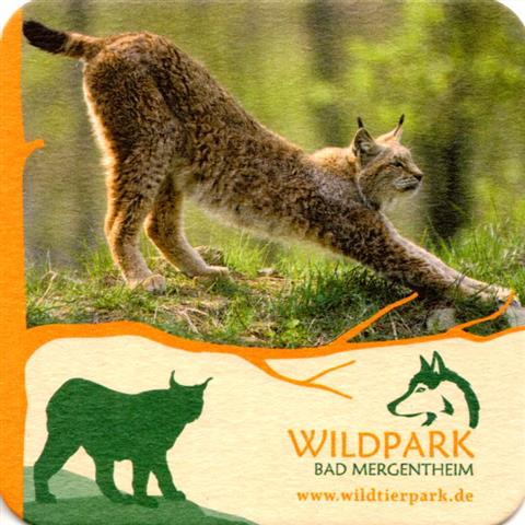 bad mergentheim tbb-bw herbst wild 5b (quad185-luchs)